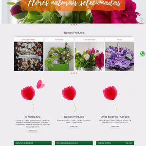 63fcfdfaa3ddf_Floricultura Tulipas.png